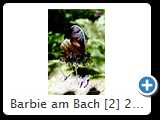 Barbie am Bach [2] 2014 (IMG_8225)